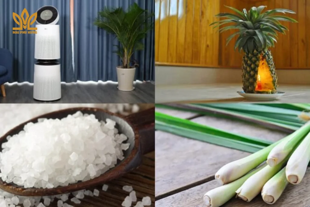 Cách khử mùi ẩm trong nhà hiệu quả trong mùa nồm 14